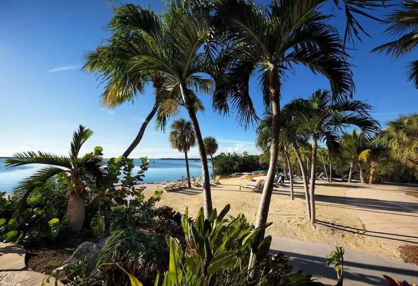 호텔 Hampton Inn Key Largo Manatee Bay