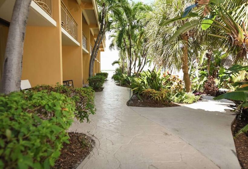 Szálloda Hampton Inn Key Largo Manatee Bay