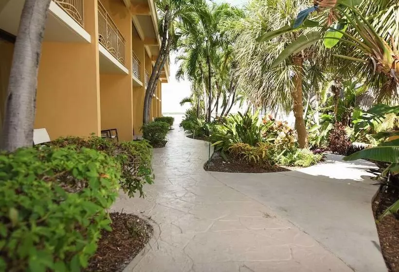 호텔 Hampton Inn Key Largo Manatee Bay