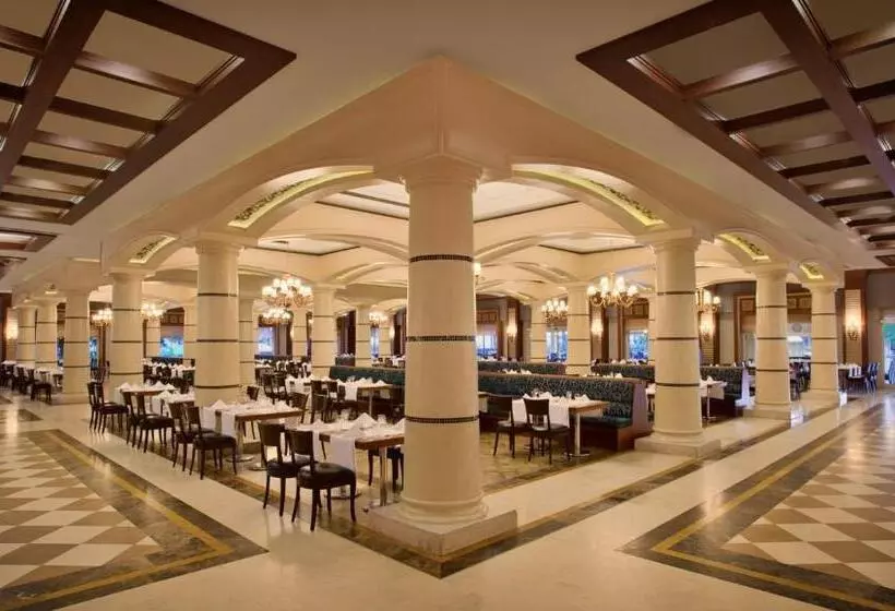 渡假胜地  Paloma Grida