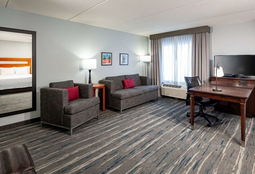 Hampton Inn & Suites St. Louis At Forest Park