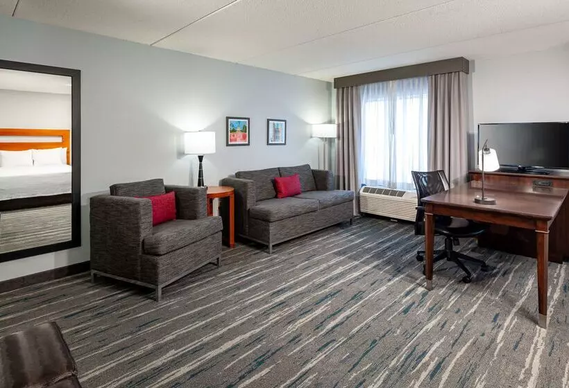 Hampton Inn & Suites St. Louis At Forest Park