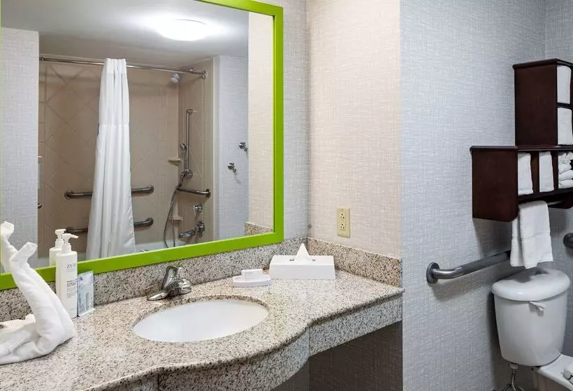 Hampton Inn & Suites St. Louis At Forest Park