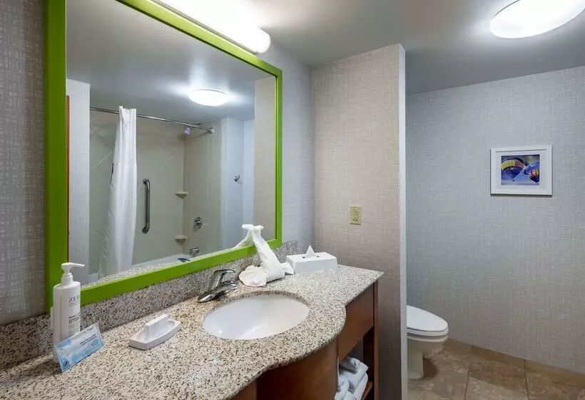 Hampton Inn & Suites St. Louis At Forest Park