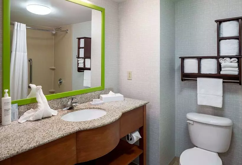 Hampton Inn & Suites St. Louis At Forest Park