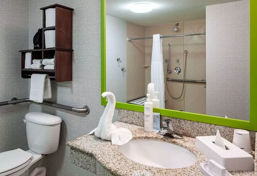 Hampton Inn & Suites St. Louis At Forest Park