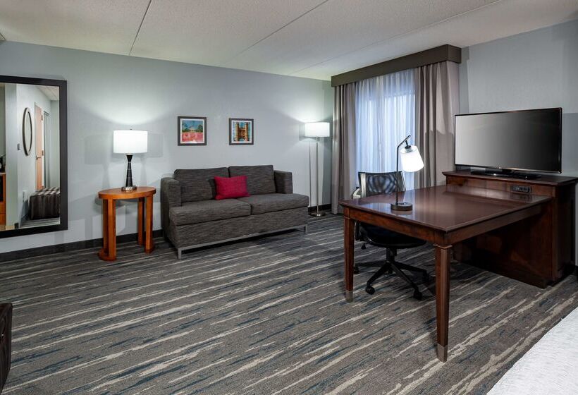 Hampton Inn & Suites St. Louis At Forest Park