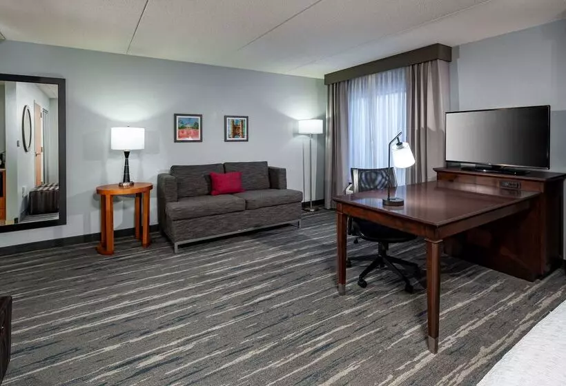 Hampton Inn & Suites St. Louis At Forest Park