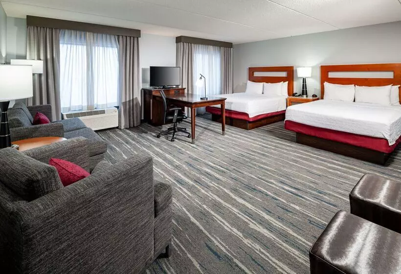 Hampton Inn & Suites St. Louis At Forest Park