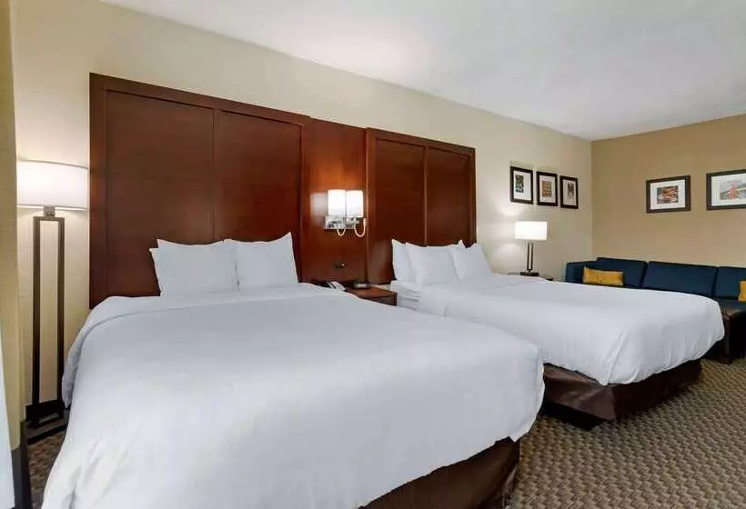 هتل Comfort Inn & Suites Near Six Flags & Medical Center