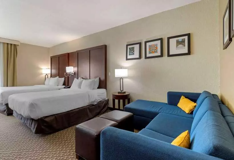 هتل Comfort Inn & Suites Near Six Flags & Medical Center