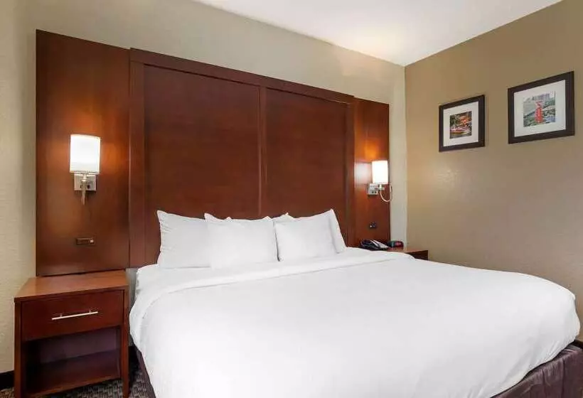 هتل Comfort Inn & Suites Near Six Flags & Medical Center