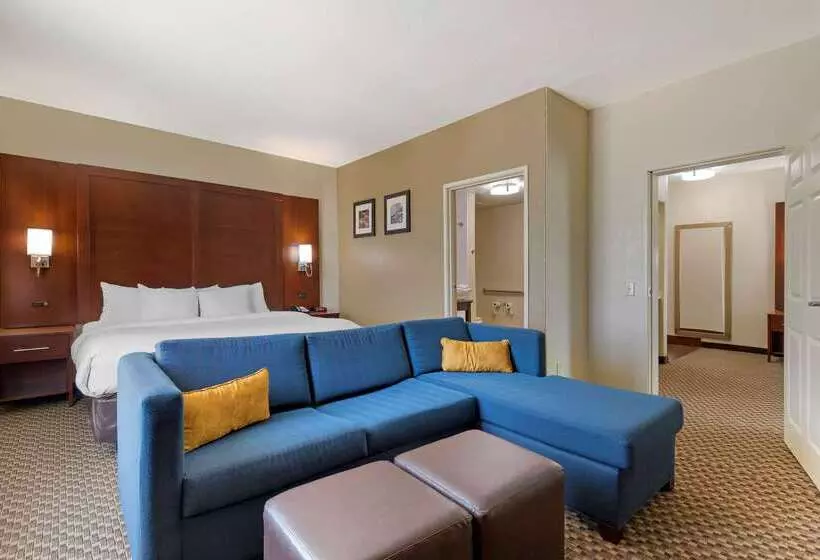 هتل Comfort Inn & Suites Near Six Flags & Medical Center