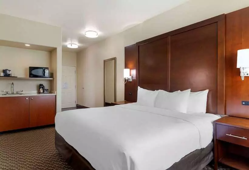 هتل Comfort Inn & Suites Near Six Flags & Medical Center
