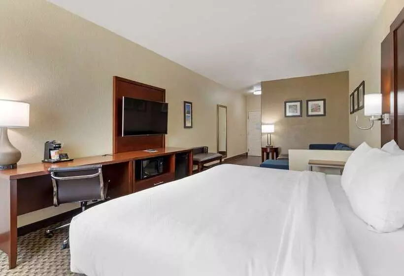 هتل Comfort Inn & Suites Near Six Flags & Medical Center