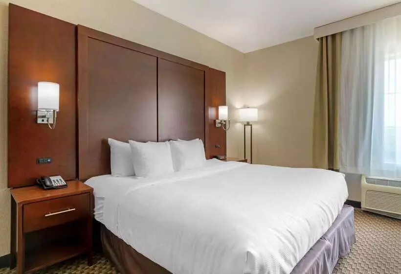 هتل Comfort Inn & Suites Near Six Flags & Medical Center