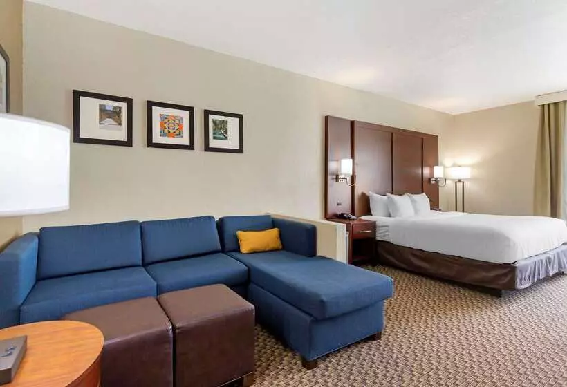 هتل Comfort Inn & Suites Near Six Flags & Medical Center