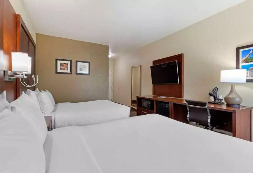 هتل Comfort Inn & Suites Near Six Flags & Medical Center