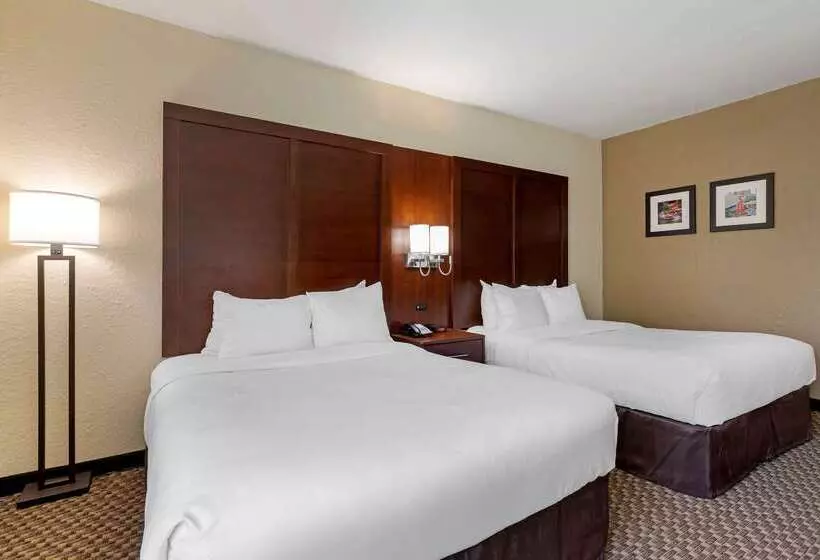 هتل Comfort Inn & Suites Near Six Flags & Medical Center