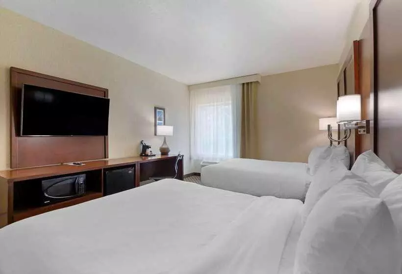 هتل Comfort Inn & Suites Near Six Flags & Medical Center