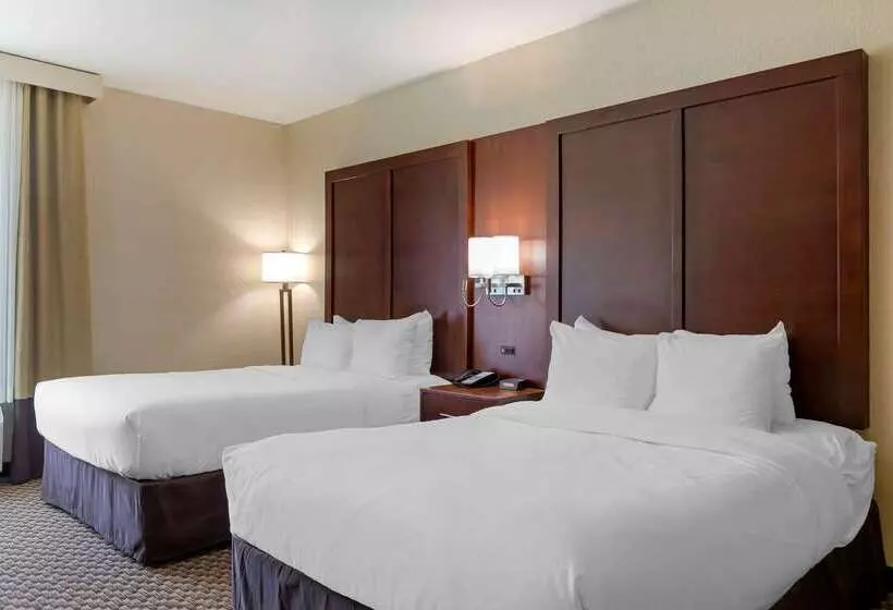 هتل Comfort Inn & Suites Near Six Flags & Medical Center