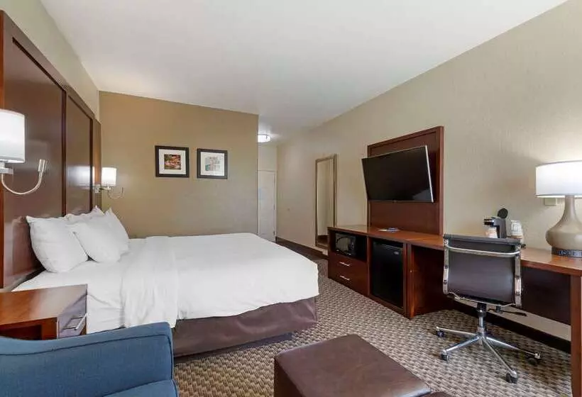هتل Comfort Inn & Suites Near Six Flags & Medical Center