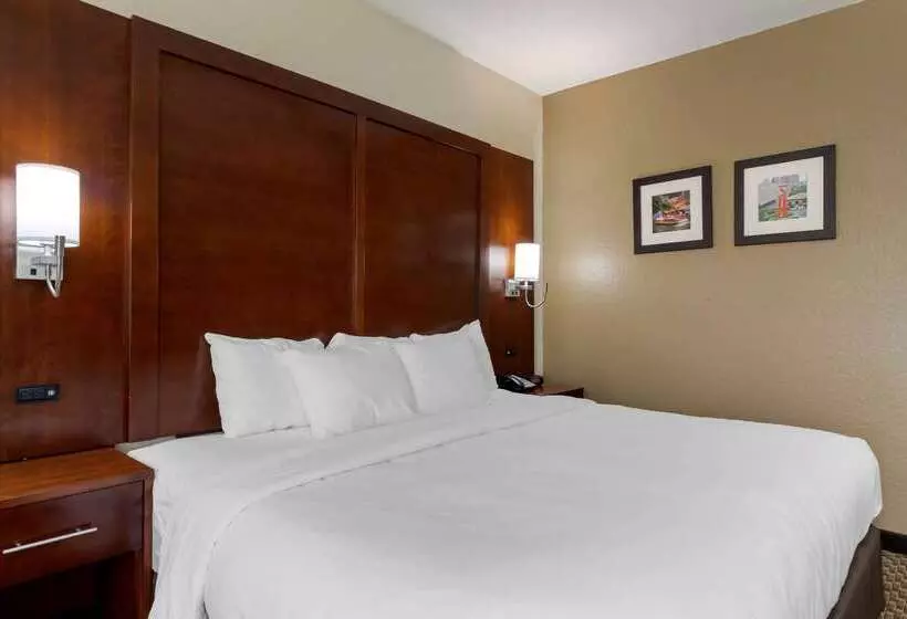هتل Comfort Inn & Suites Near Six Flags & Medical Center