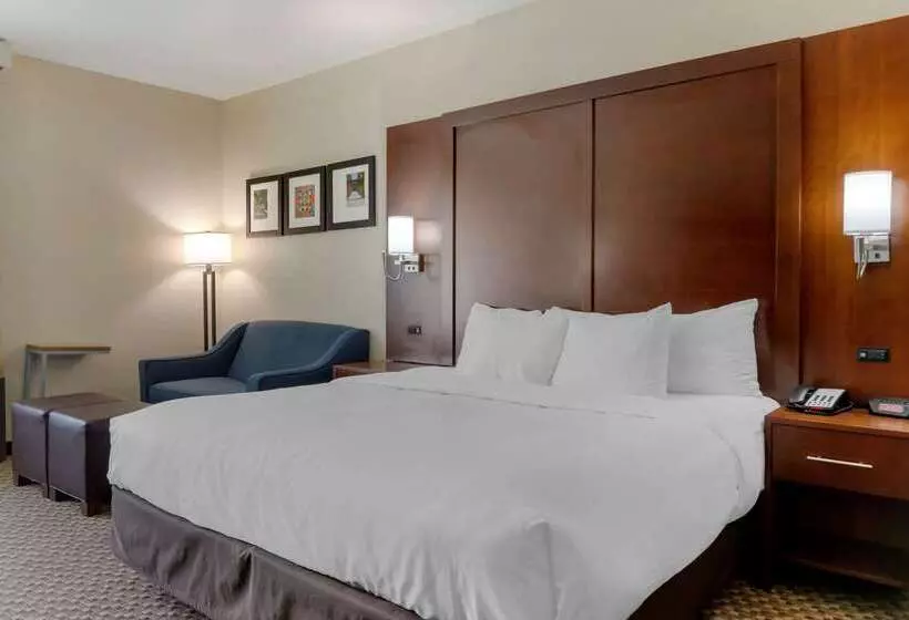 هتل Comfort Inn & Suites Near Six Flags & Medical Center