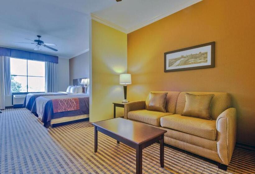 فندق Comfort Inn & Suites Fort Worth  Fossil Creek