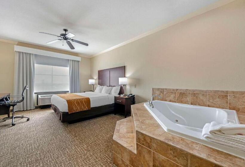 فندق Comfort Inn & Suites Fort Worth  Fossil Creek