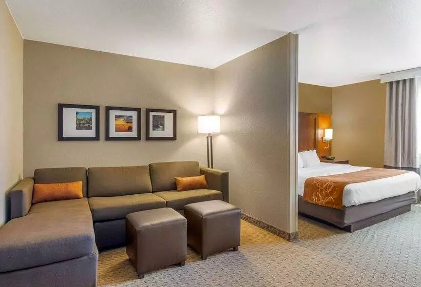 هتل Comfort Suites Burlington