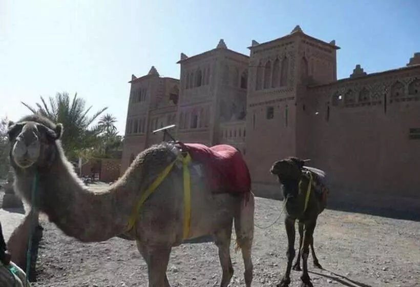 ホテル Espace Kasbah Amridil
