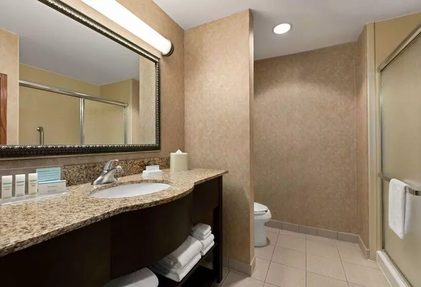 酒店 Hampton Inn & Suites Lawton