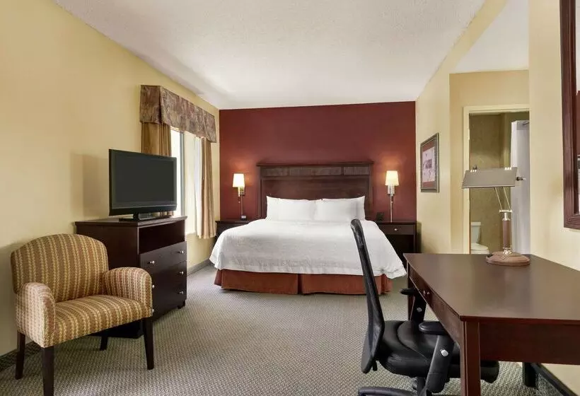 酒店 Hampton Inn & Suites Lawton
