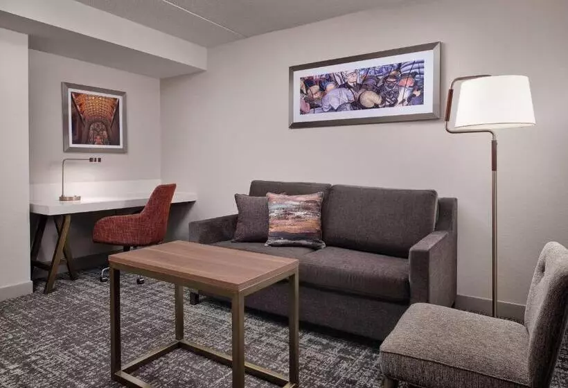 酒店 Hilton Garden Inn Detroit Downtown