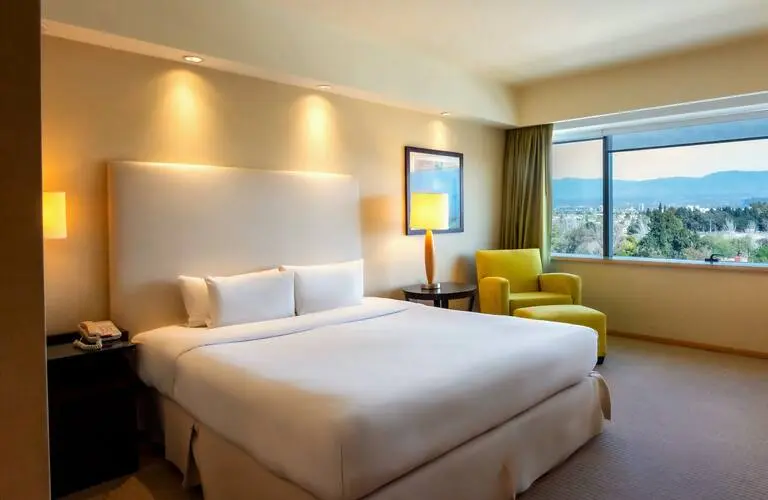 هتل Hilton Mendoza