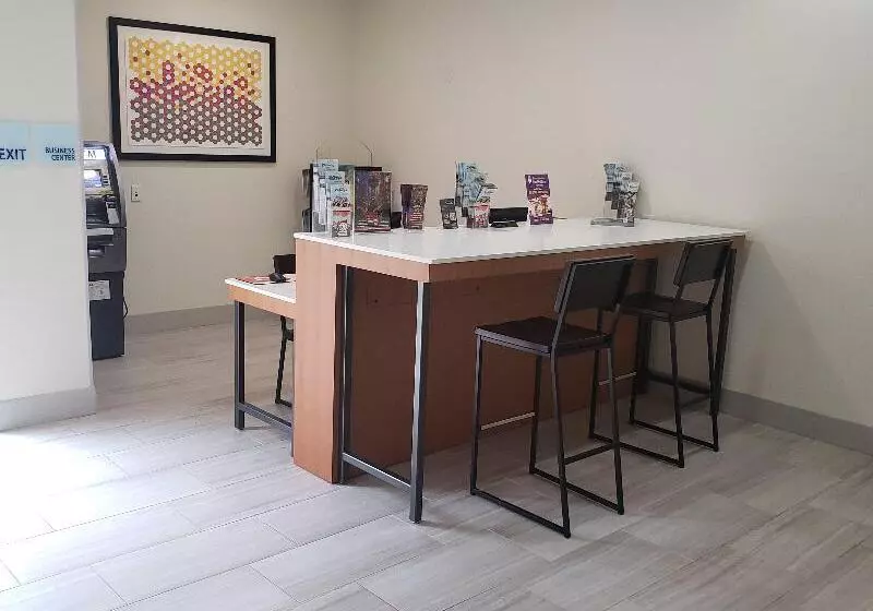 酒店 Holiday Inn Express Tampa North Telecom Park, An Ihg