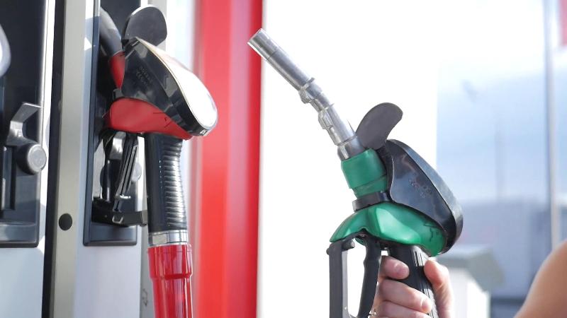 ホテル Holiday Inn Express Tampa North Telecom Park, An Ihg