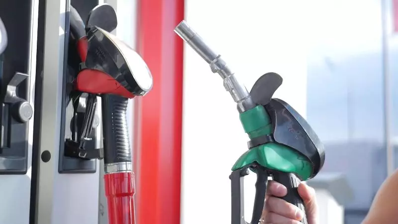 酒店 Holiday Inn Express Tampa North Telecom Park, An Ihg