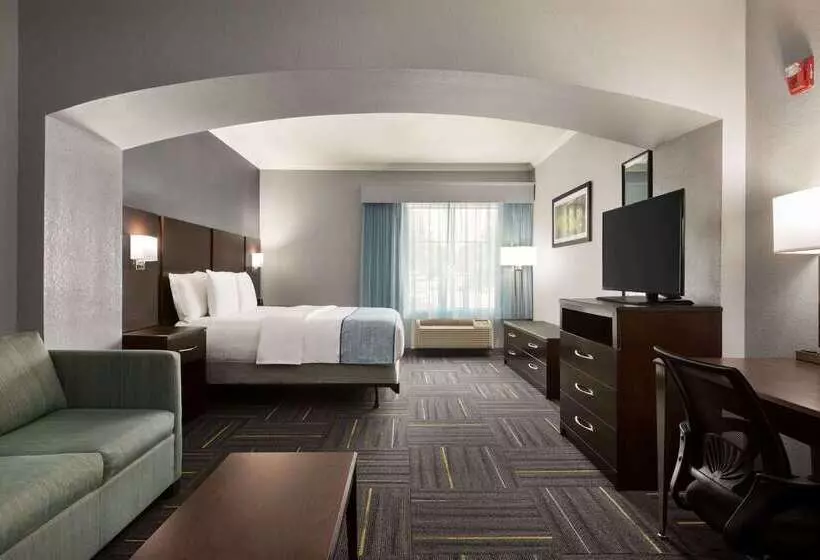 فندق La Quinta By Wyndham Dublin