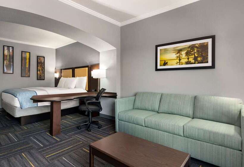 בית מלון כפרי La Quinta By Wyndham Dublin