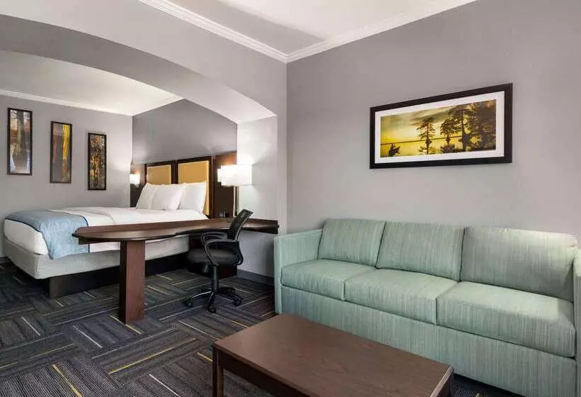 فندق La Quinta By Wyndham Dublin