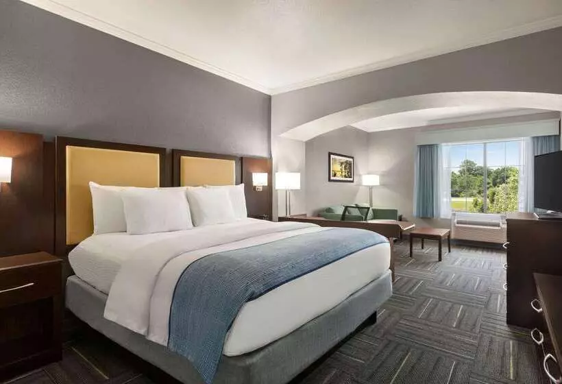 فندق La Quinta By Wyndham Dublin