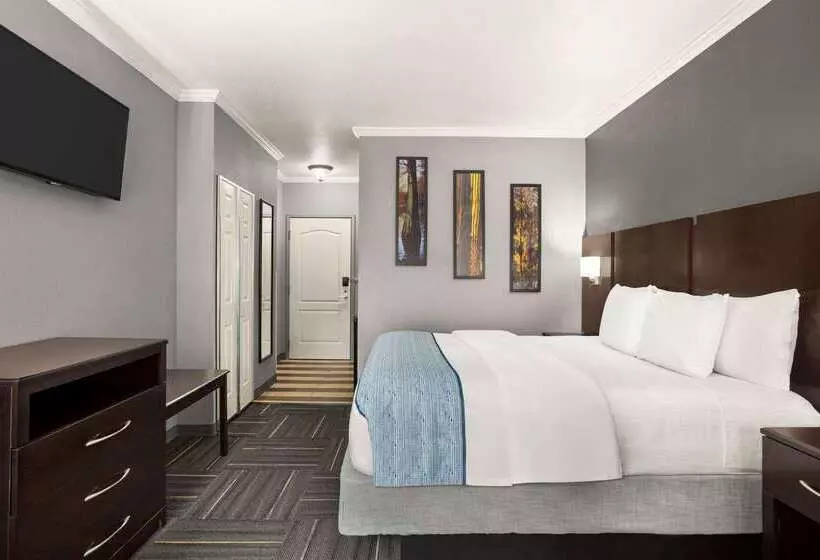 فندق La Quinta By Wyndham Dublin