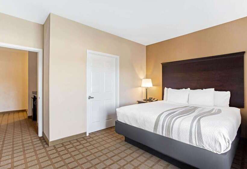 Отель La Quinta Inn & Suites By Wyndham Mobile Satsuma / Saraland