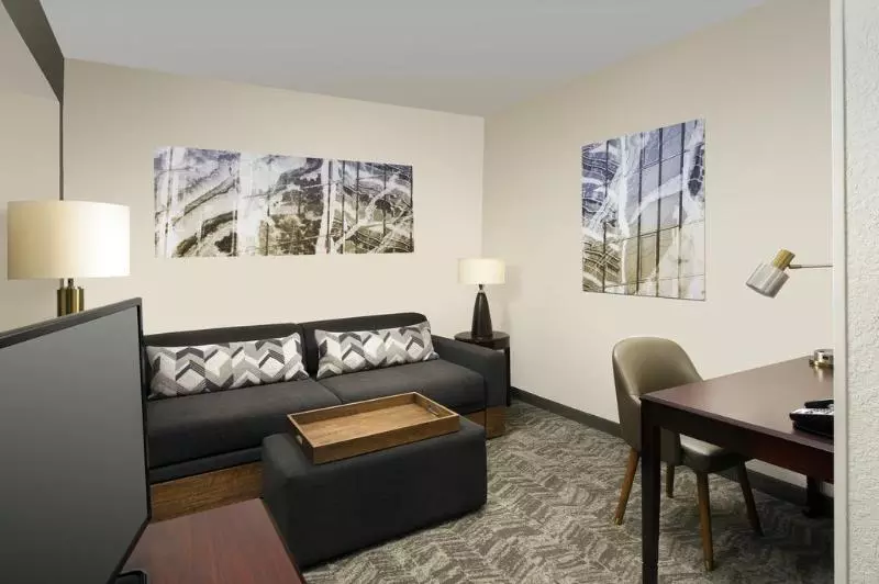 هتل Springhill Suites By Marriott Jacksonville North I 95 Area