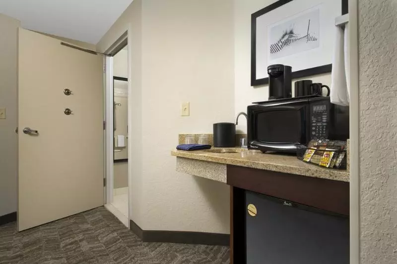 هتل Springhill Suites By Marriott Jacksonville North I 95 Area
