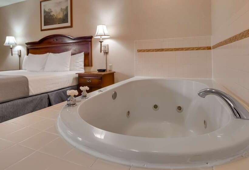 Surestay Plus Hotel By Best Western Cheyenne