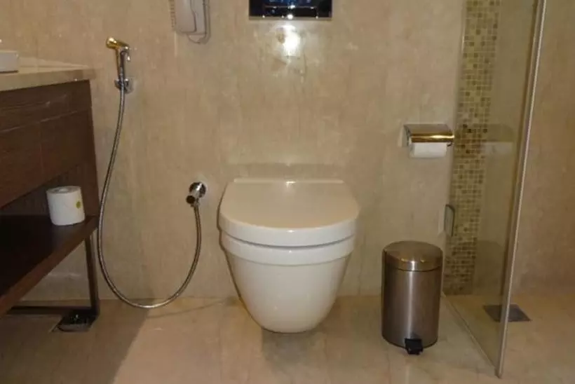 Hotel Pullman Chennai Anna Salai