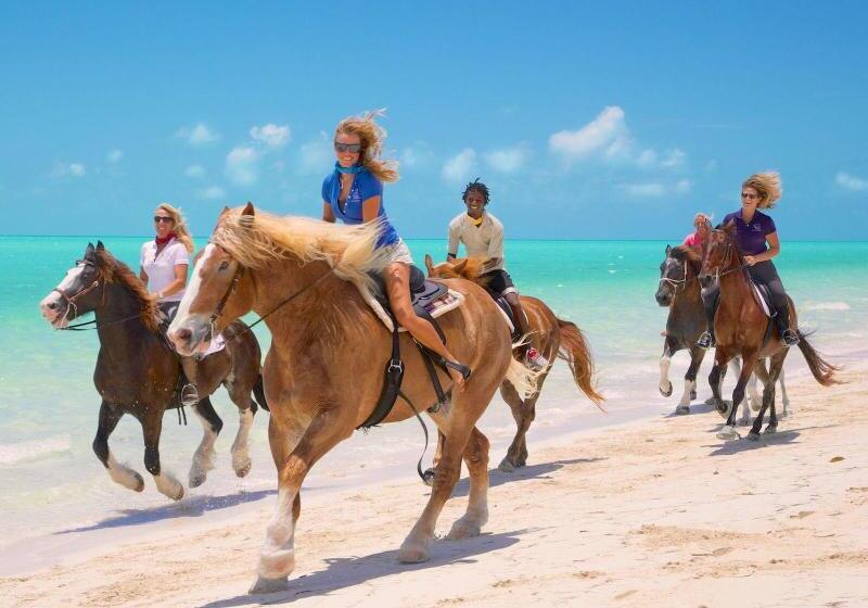 هتل Villa Renaissance